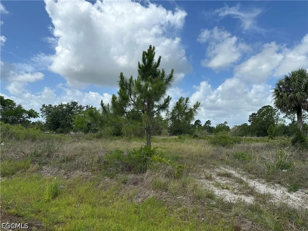 908 Panda Drive Lehigh Acres FL 33974