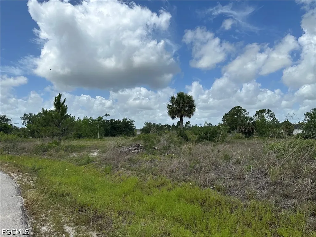 908 Panda Drive Lehigh Acres FL 33974