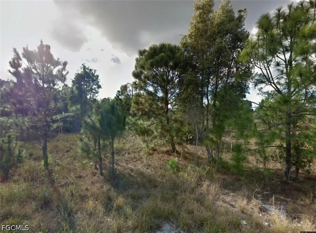 1076 Portland Avenue S Lehigh Acres FL 33974