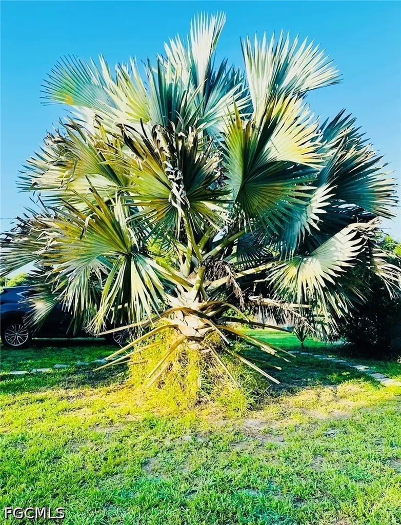 455 Trader Road Fort Denaud FL 33935