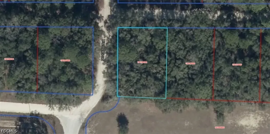 NE 50th Place Williston FL 32696