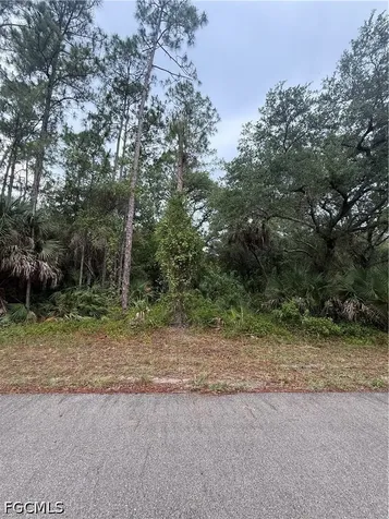 1659 Lake Avenue Lehigh Acres FL 33972