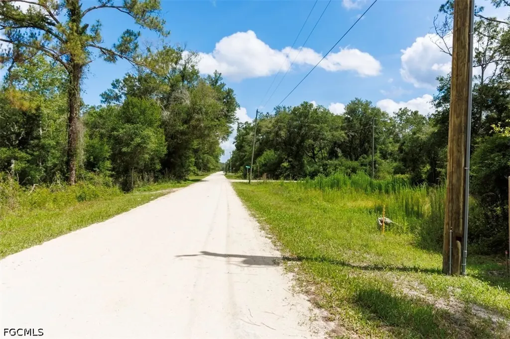 0 Bigelow Avenue Webster FL 33597