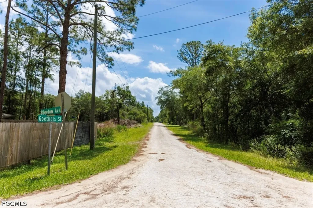 0 Bigelow Avenue Webster FL 33597