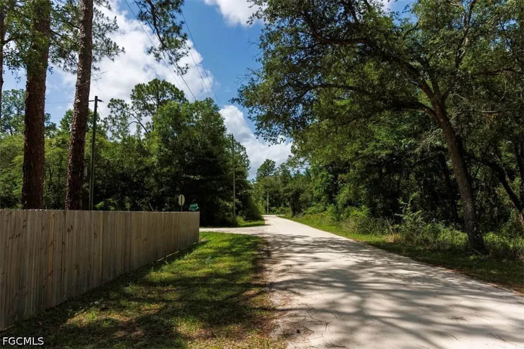 0 Bigelow Avenue Webster FL 33597