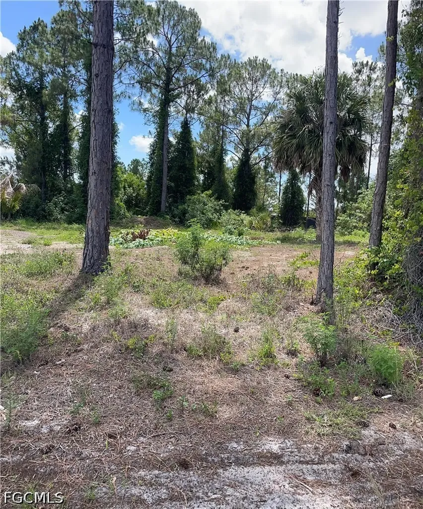 3011 33rd Street SW Lehigh Acres FL 33976