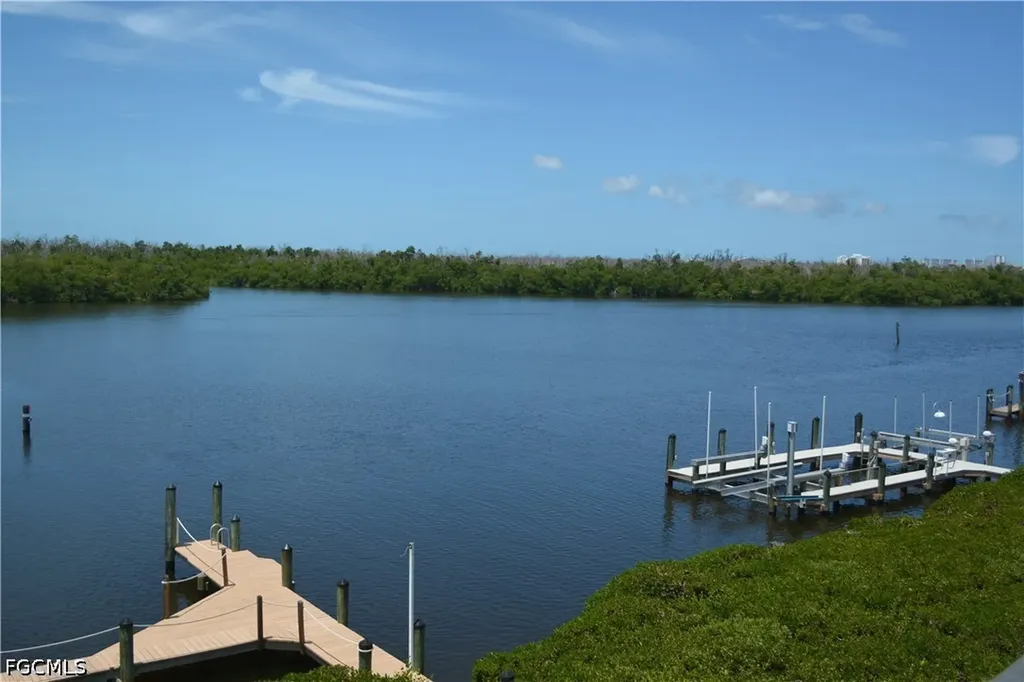 14571 Jonathan Harbour Drive Fort Myers FL 33908