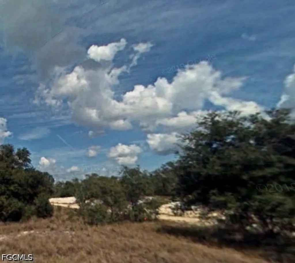 517 Dreamland Avenue Lake Placid FL 33852