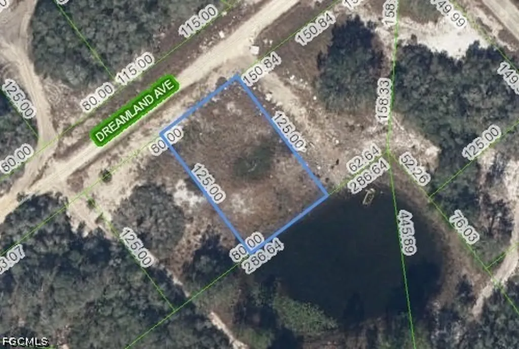 517 Dreamland Avenue Lake Placid FL 33852