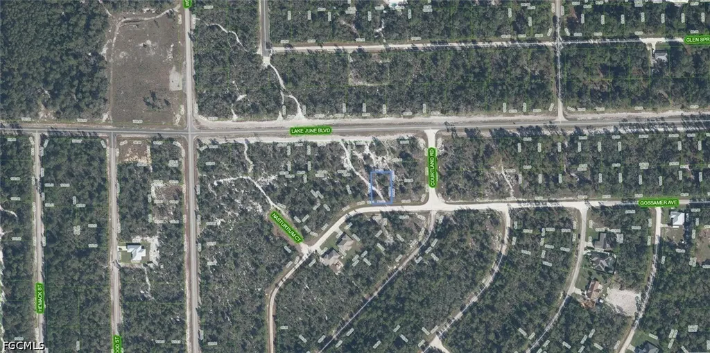 3324 Gossamer Avenue Lake Placid FL 33852