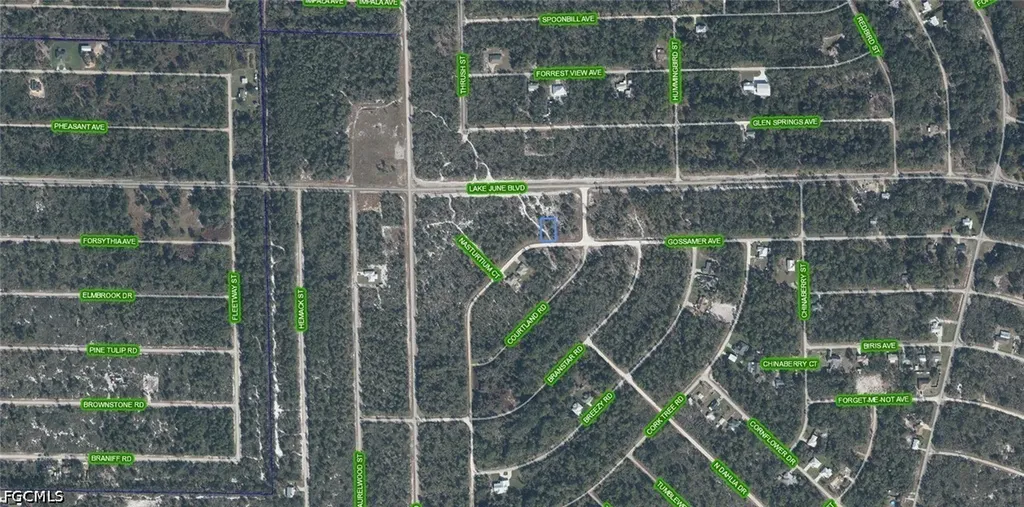 3324 Gossamer Avenue Lake Placid FL 33852
