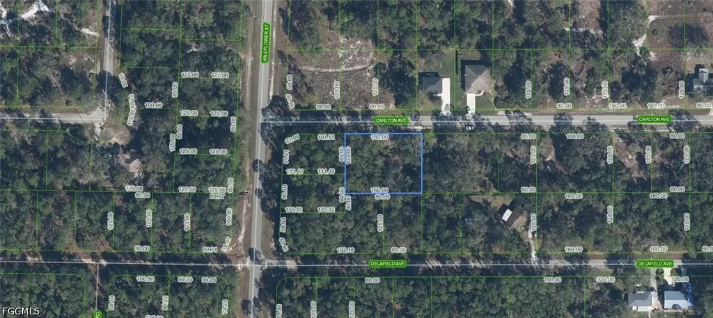 3154 Carlton Avenue Lake Placid FL 33852