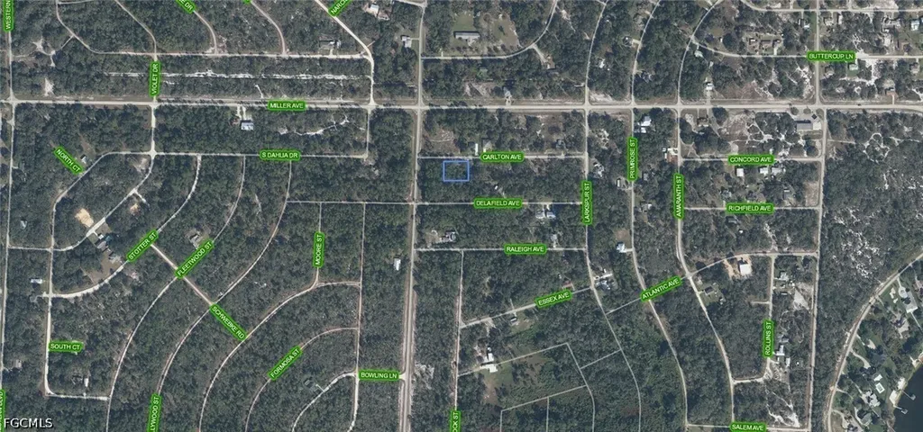 3154 Carlton Avenue Lake Placid FL 33852