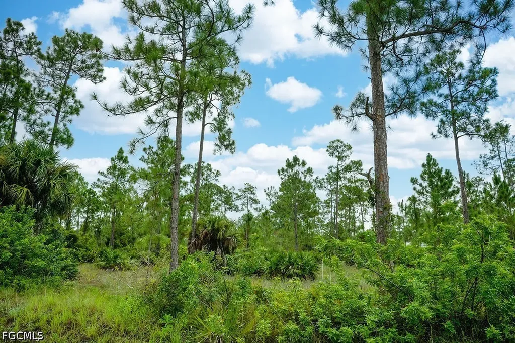 1222 North Avenue Lehigh Acres FL 33972