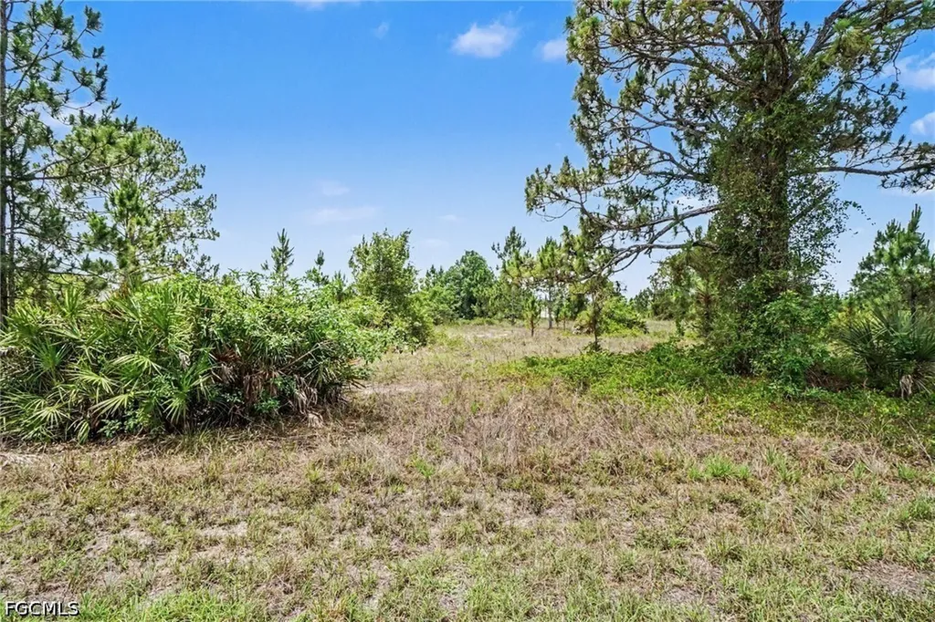 1046 Chandlee Street Lehigh Acres FL 33974