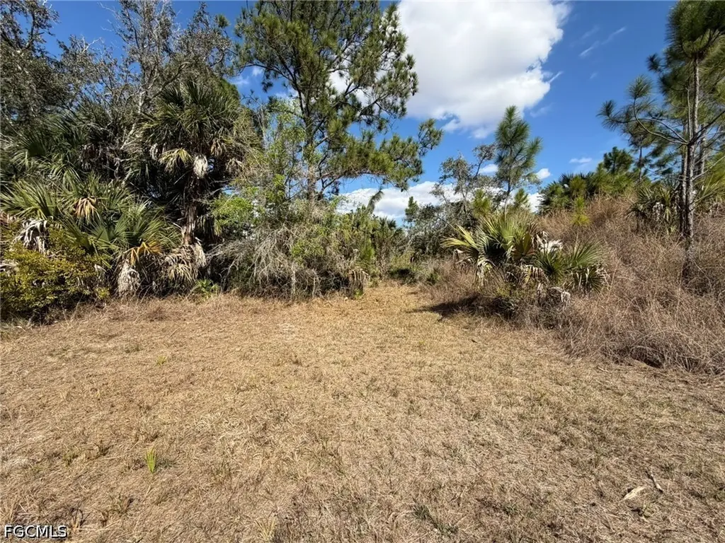 49337 Bermont Road Punta Gorda FL 33982