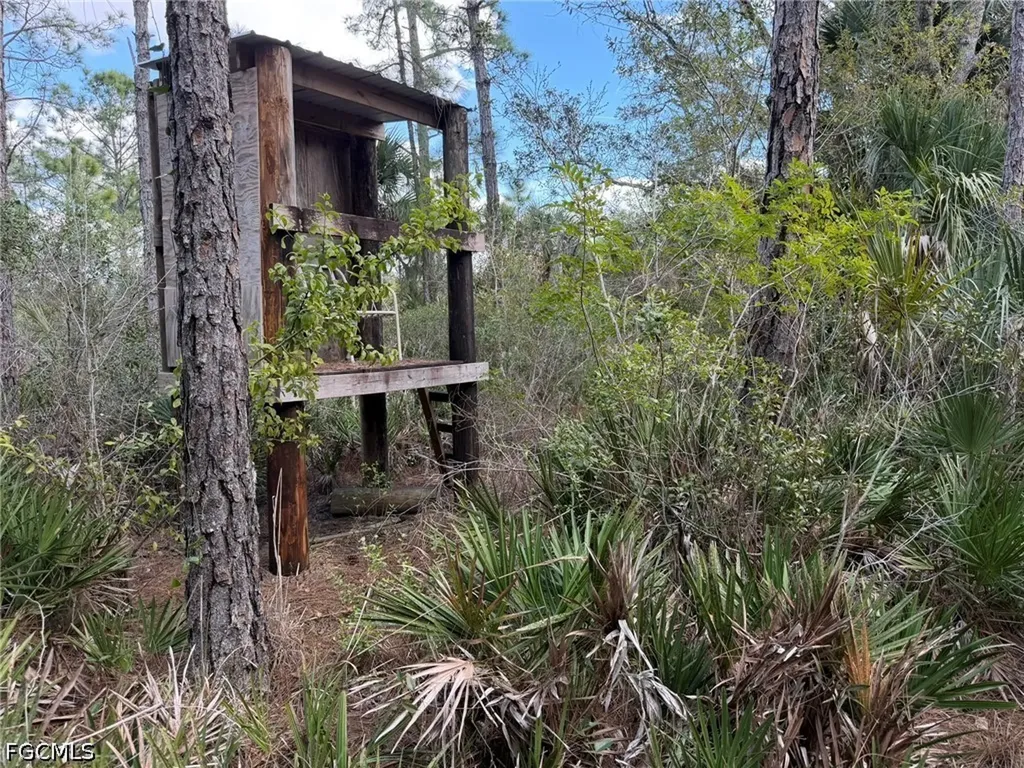 49337 Bermont Road Punta Gorda FL 33982