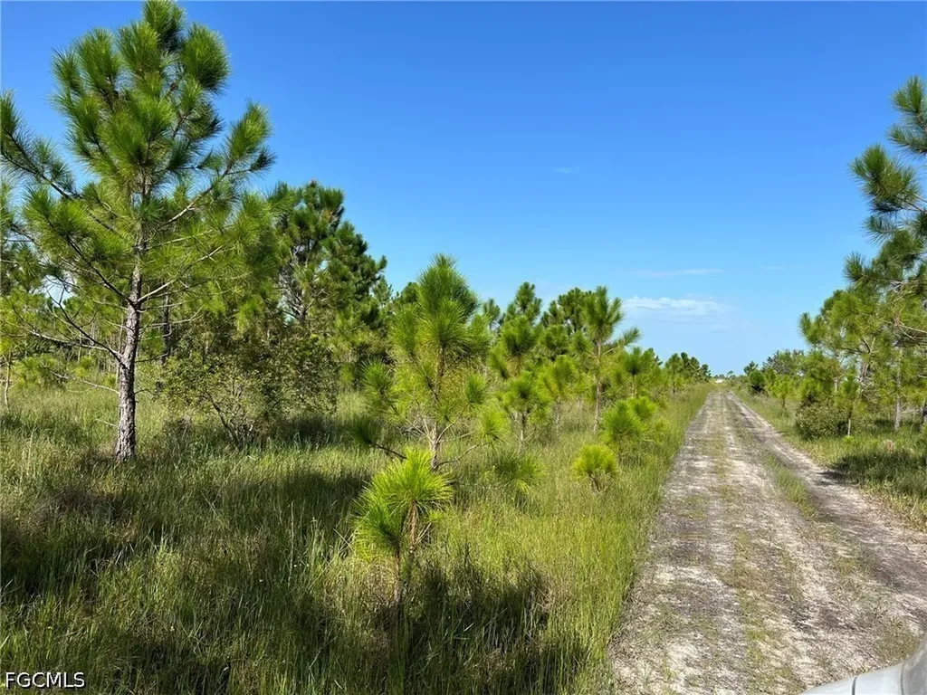 49337 Bermont Road Punta Gorda FL 33982