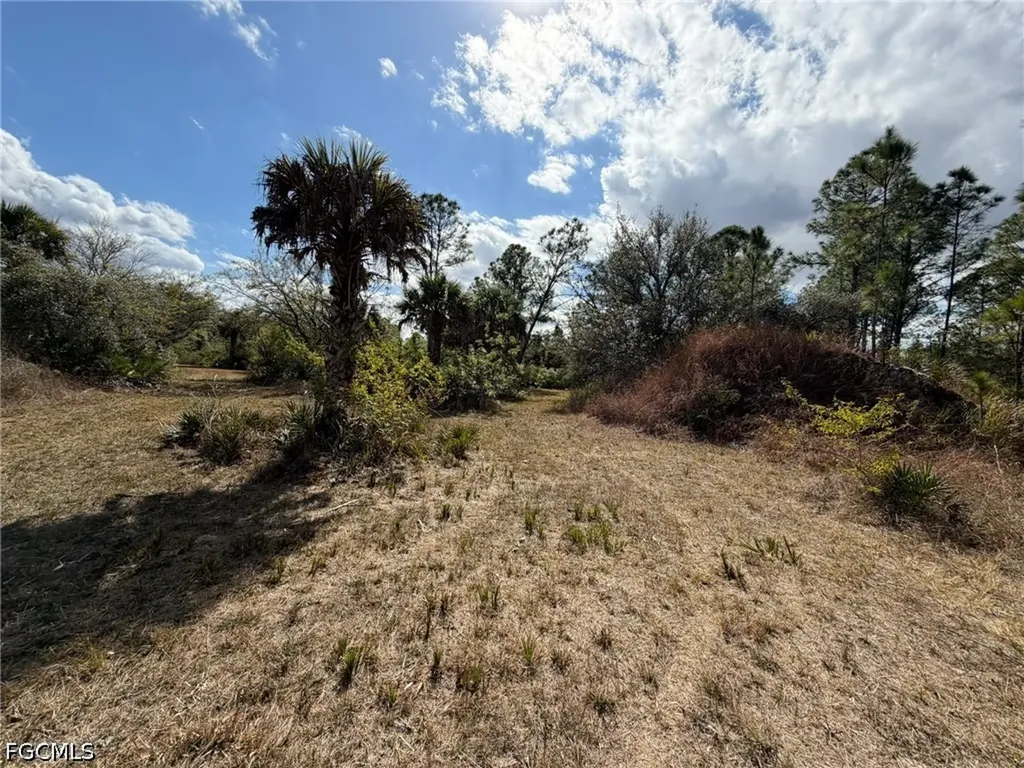 49337 Bermont Road Punta Gorda FL 33982