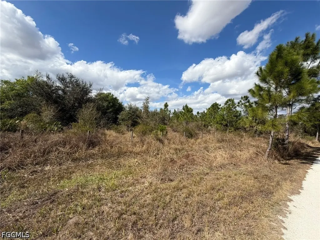 49337 Bermont Road Punta Gorda FL 33982