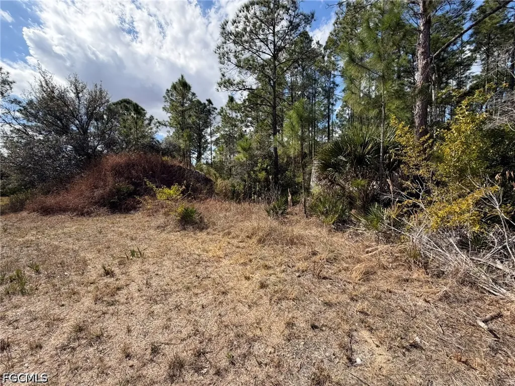 49337 Bermont Road Punta Gorda FL 33982