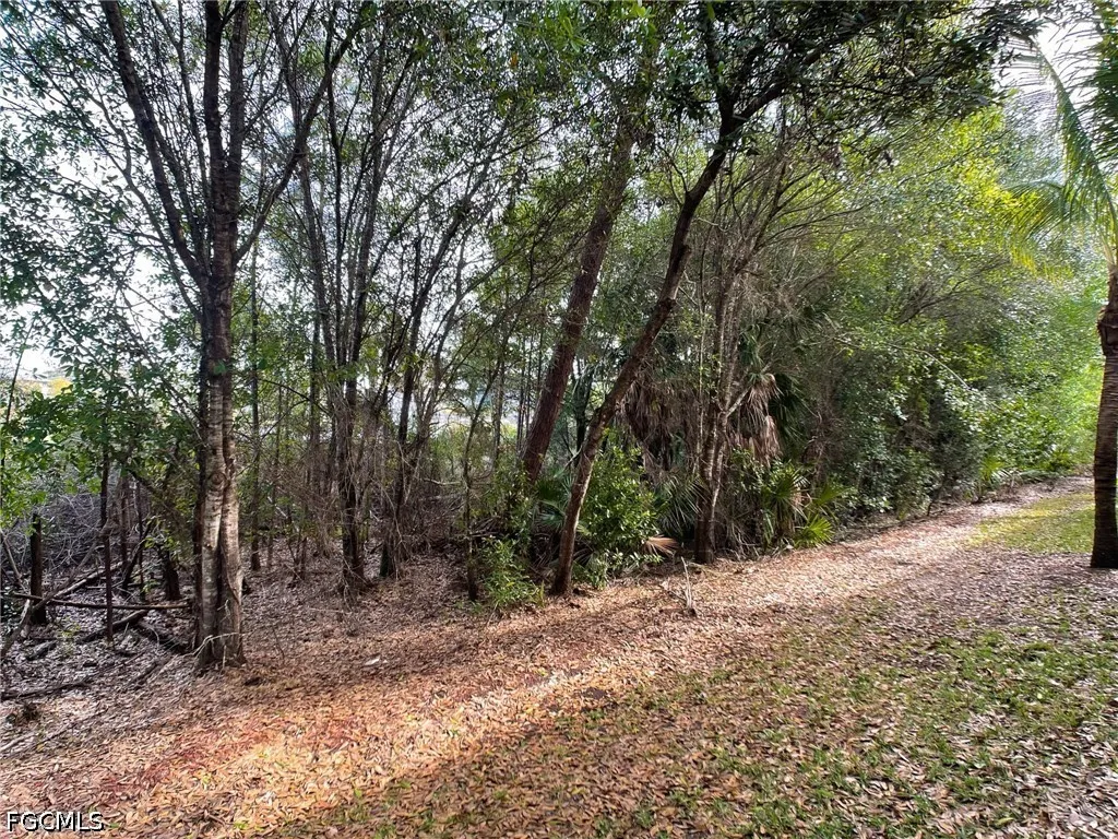 10302 Via Colomba Circle Fort Myers FL 33966