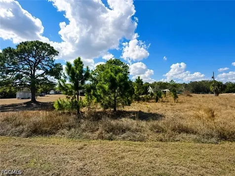 2184 Lincoln Park Avenue Alva FL 33920
