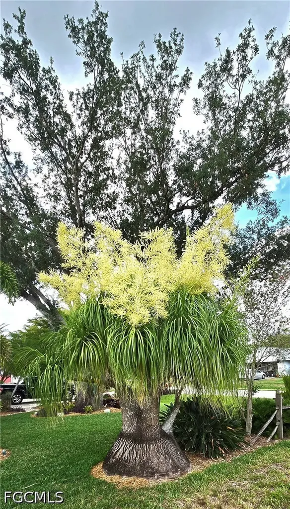 North Fort Myers FL 33917