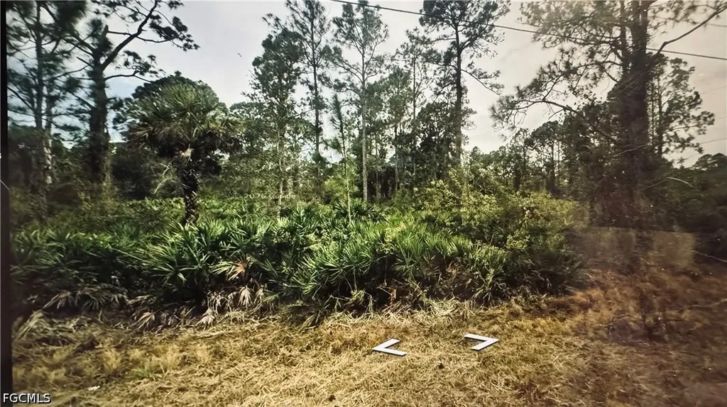 3802 E 21st Street Alva FL 33920