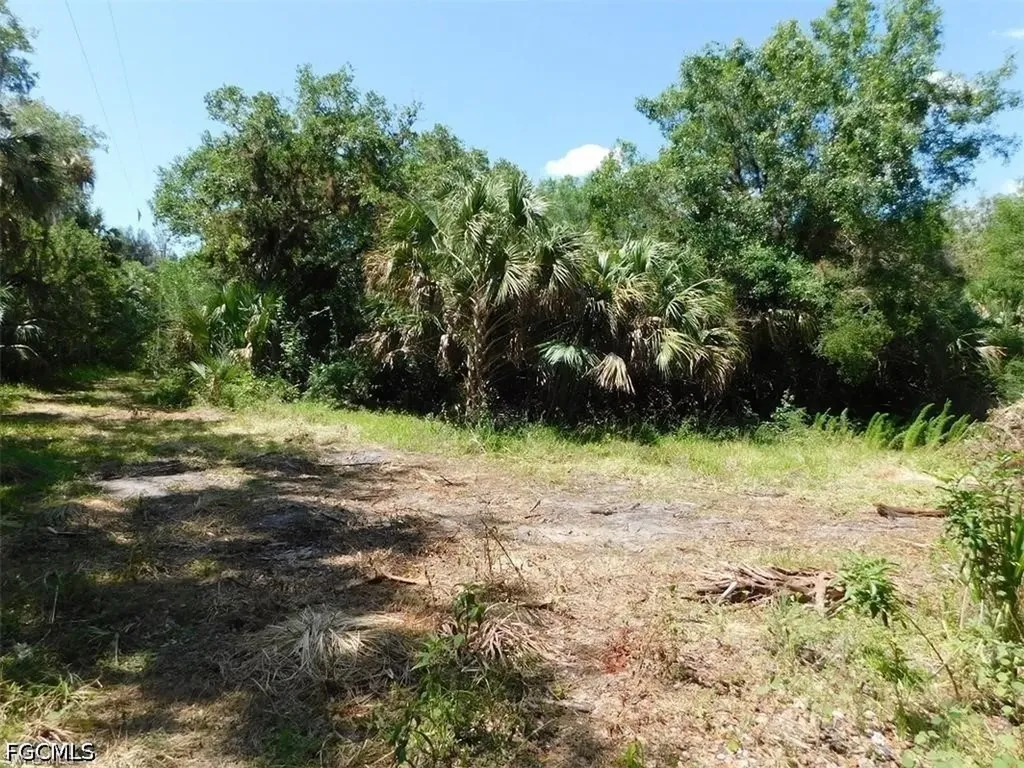 14971 Duke Highway Alva FL 33920