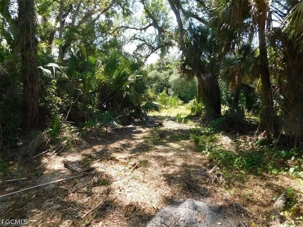14971 Duke Highway Alva FL 33920