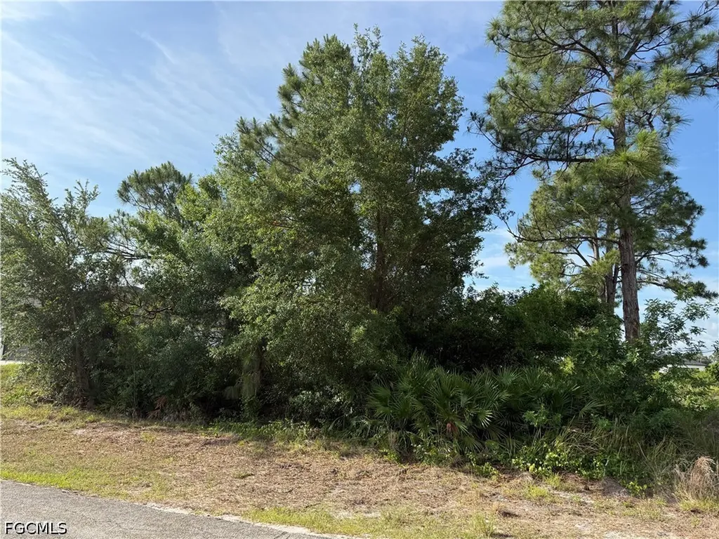 2607 26th Street SW Lehigh Acres FL 33976