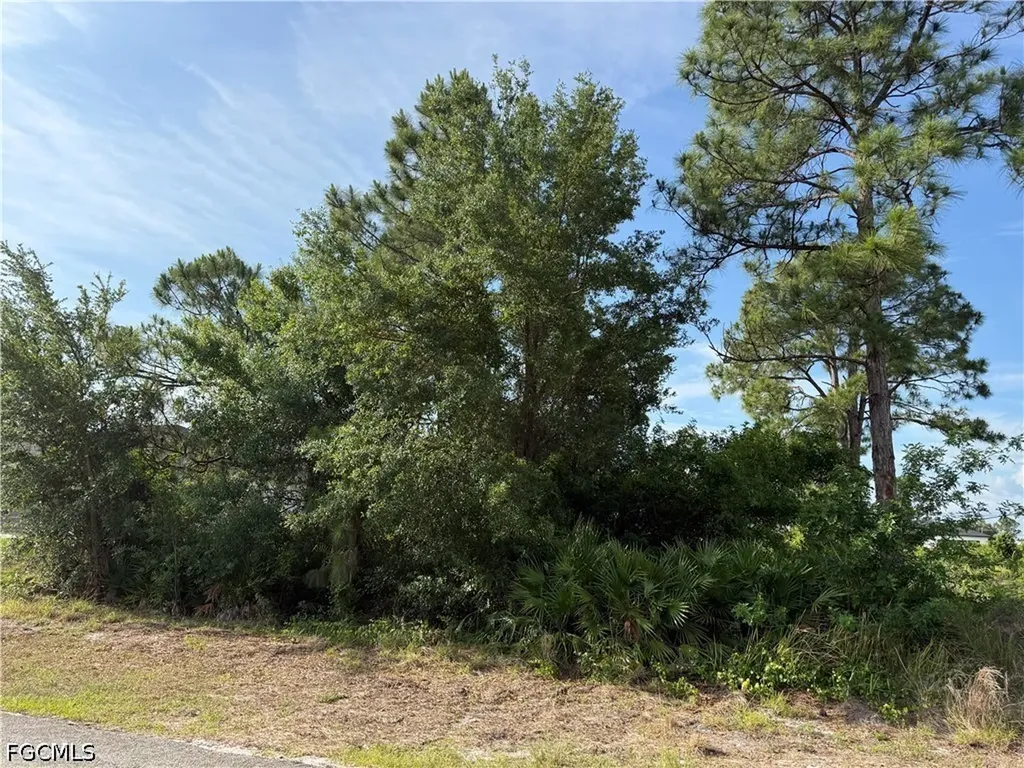 2607 26th Street SW Lehigh Acres FL 33976