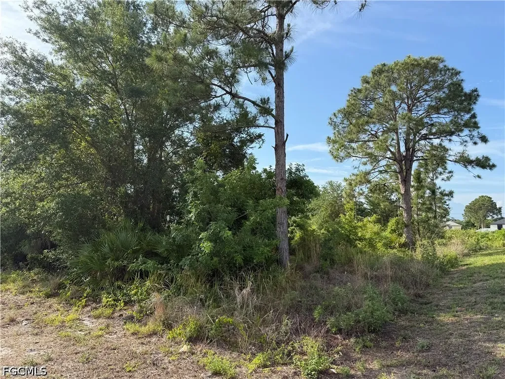 2607 26th Street SW Lehigh Acres FL 33976