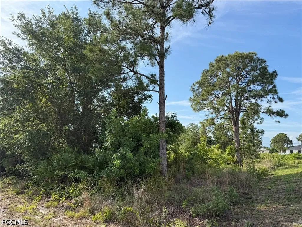 2607 26th Street SW Lehigh Acres FL 33976