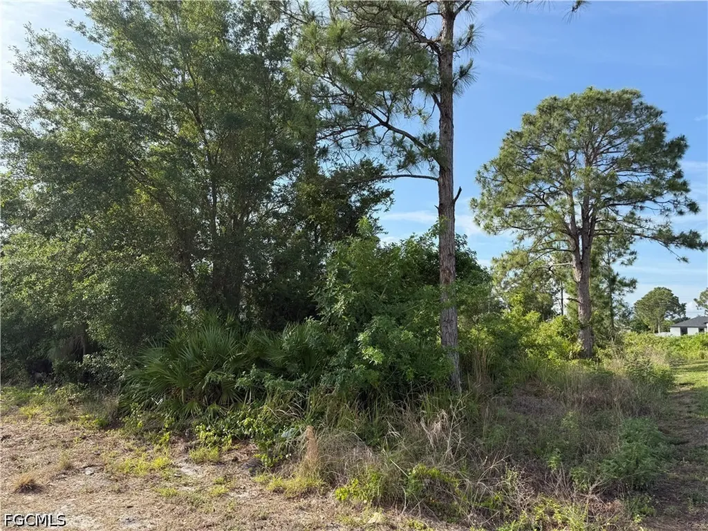 2607 26th Street SW Lehigh Acres FL 33976