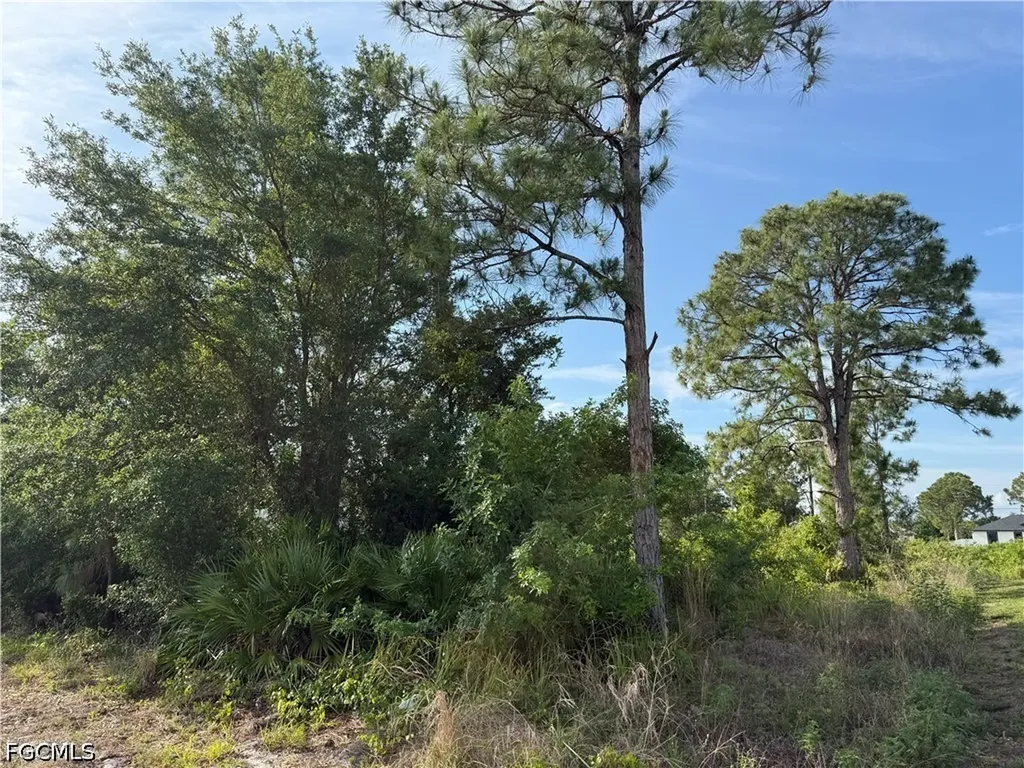 2607 26th Street SW Lehigh Acres FL 33976