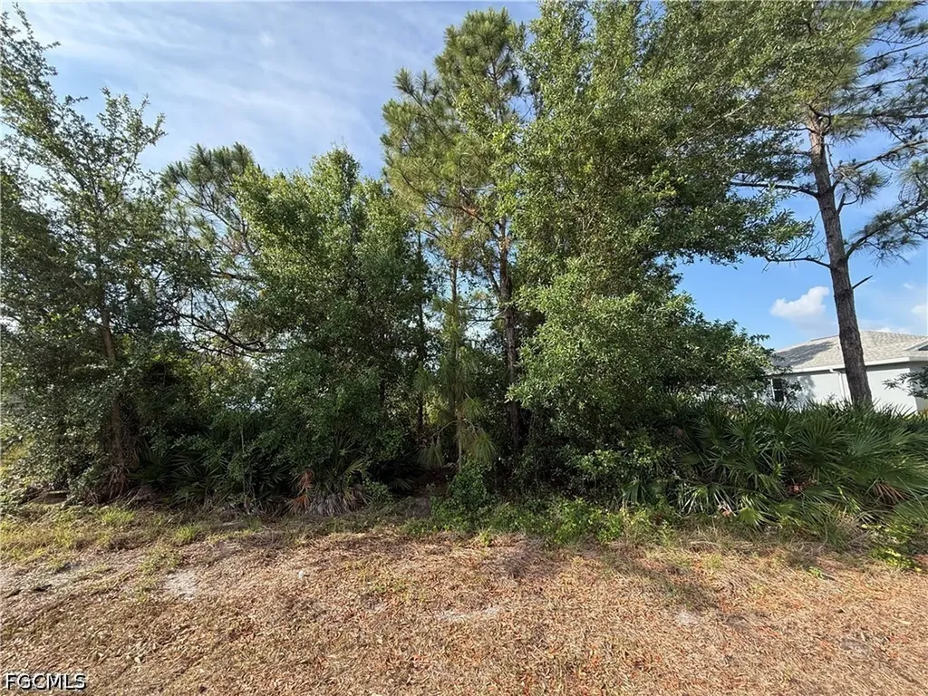 2607 26th Street SW Lehigh Acres FL 33976
