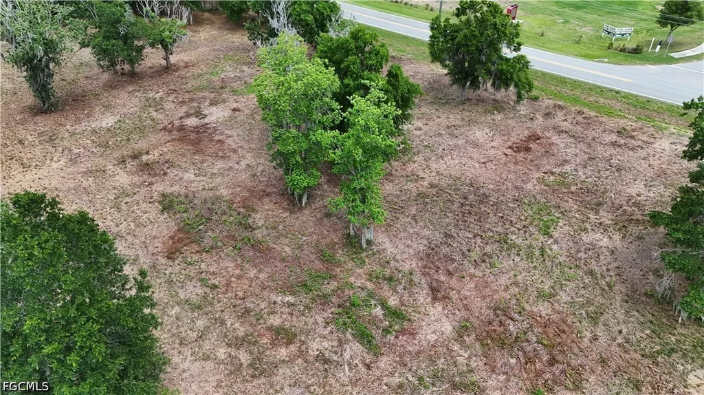 4203 Waring Road Lakeland FL 33811