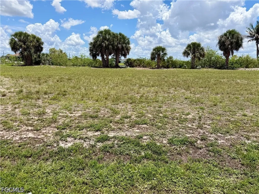 907 NW 19th Place Cape Coral FL 33993