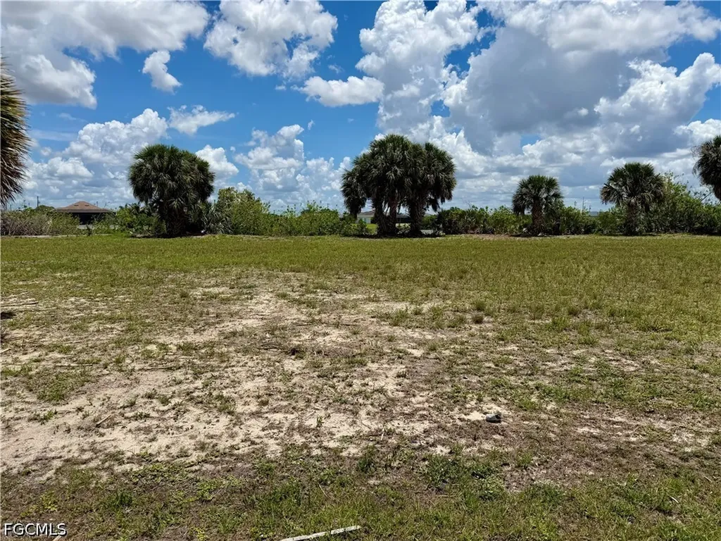 907 NW 19th Place Cape Coral FL 33993