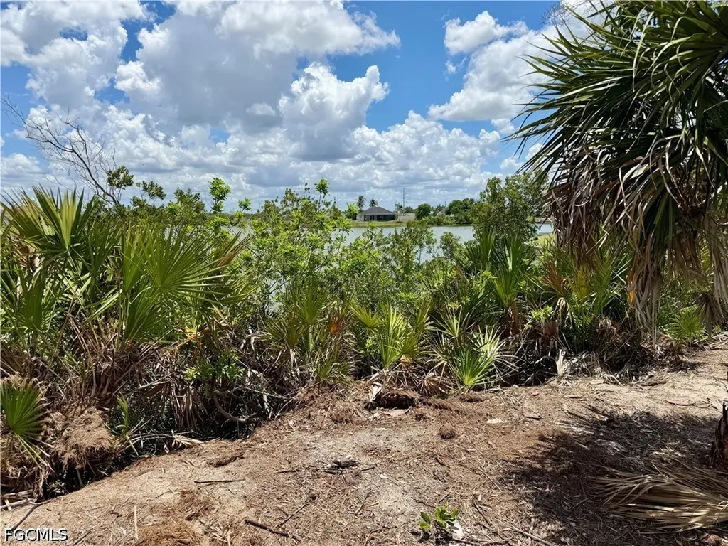 907 NW 19th Place Cape Coral FL 33993