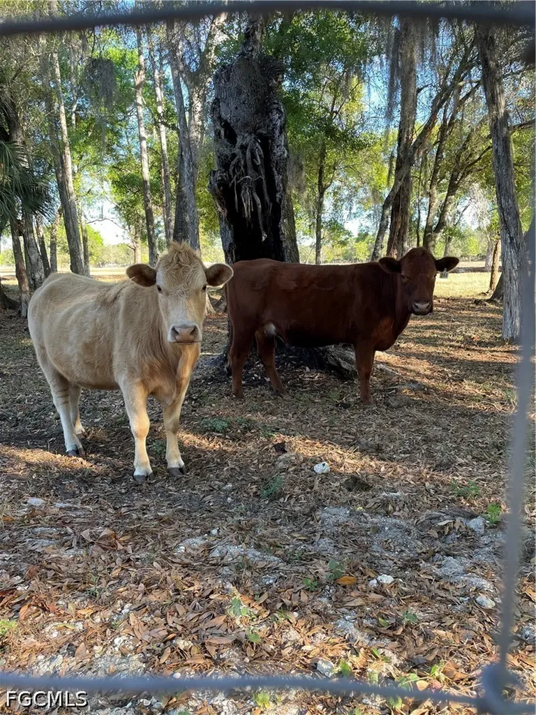 1220 A Road Labelle FL 33935