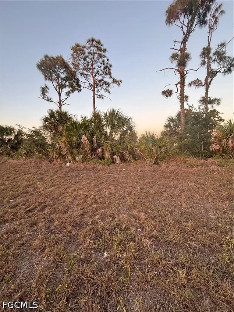 3729 NW 38th Avenue Cape Coral FL 33993