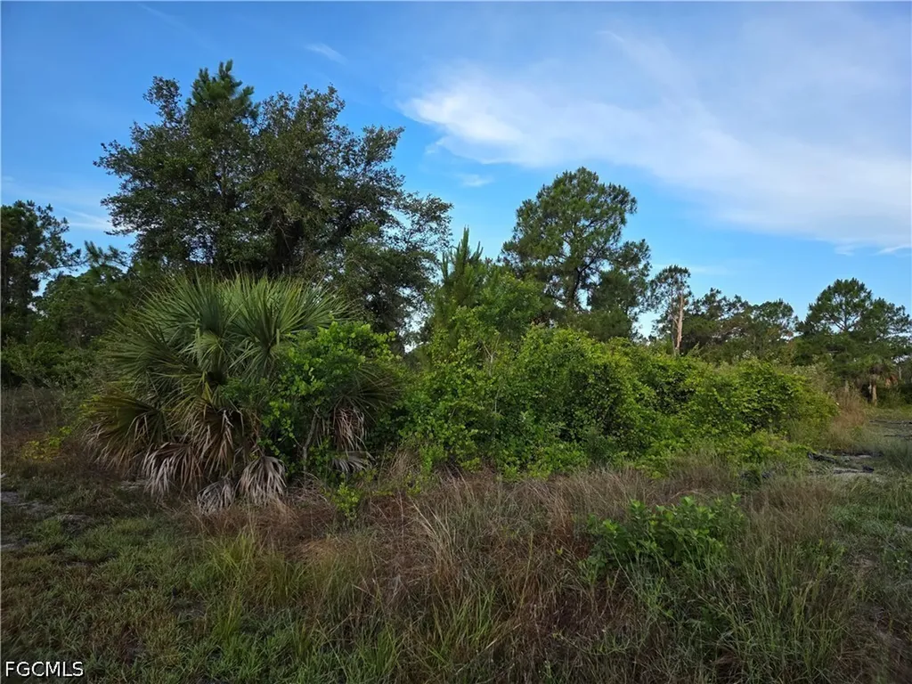 615 Johns Avenue Lehigh Acres FL 33972