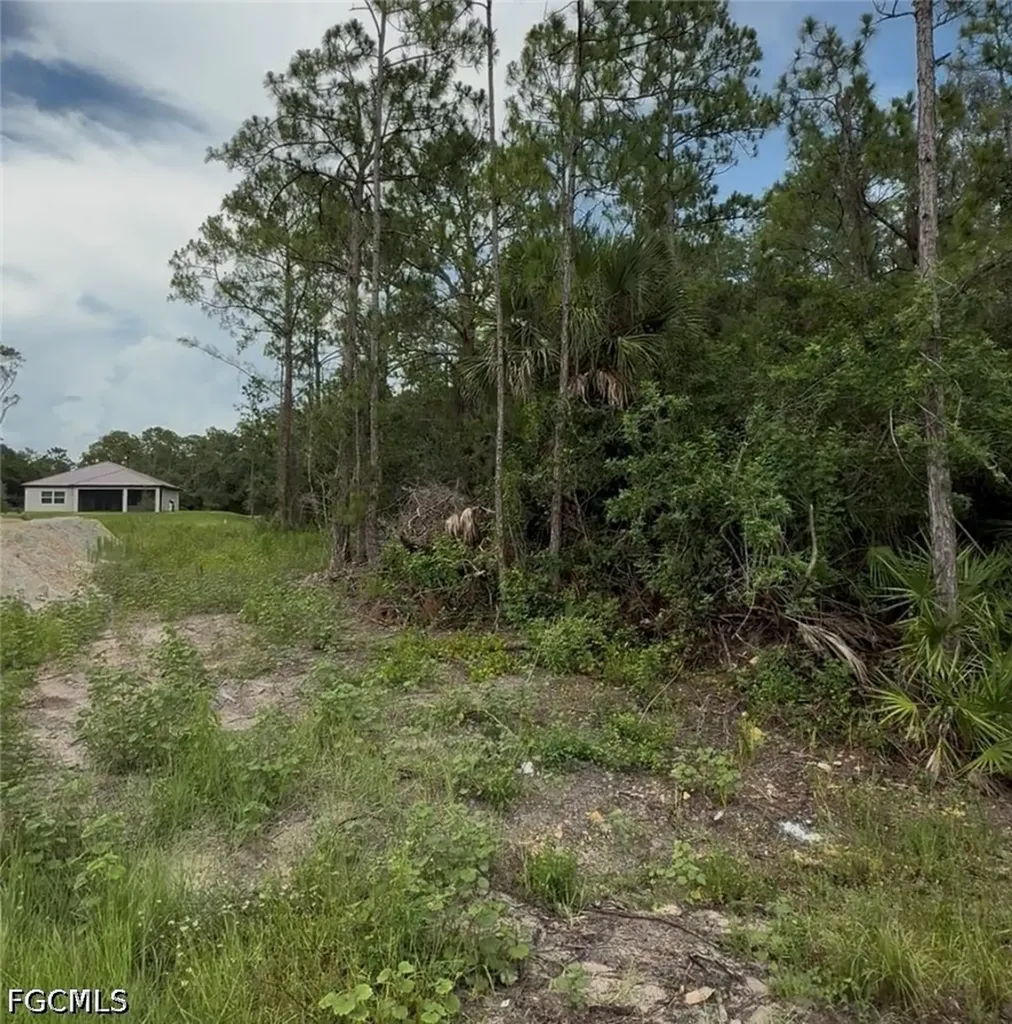 2114 Wellington Avenue Alva FL 33920