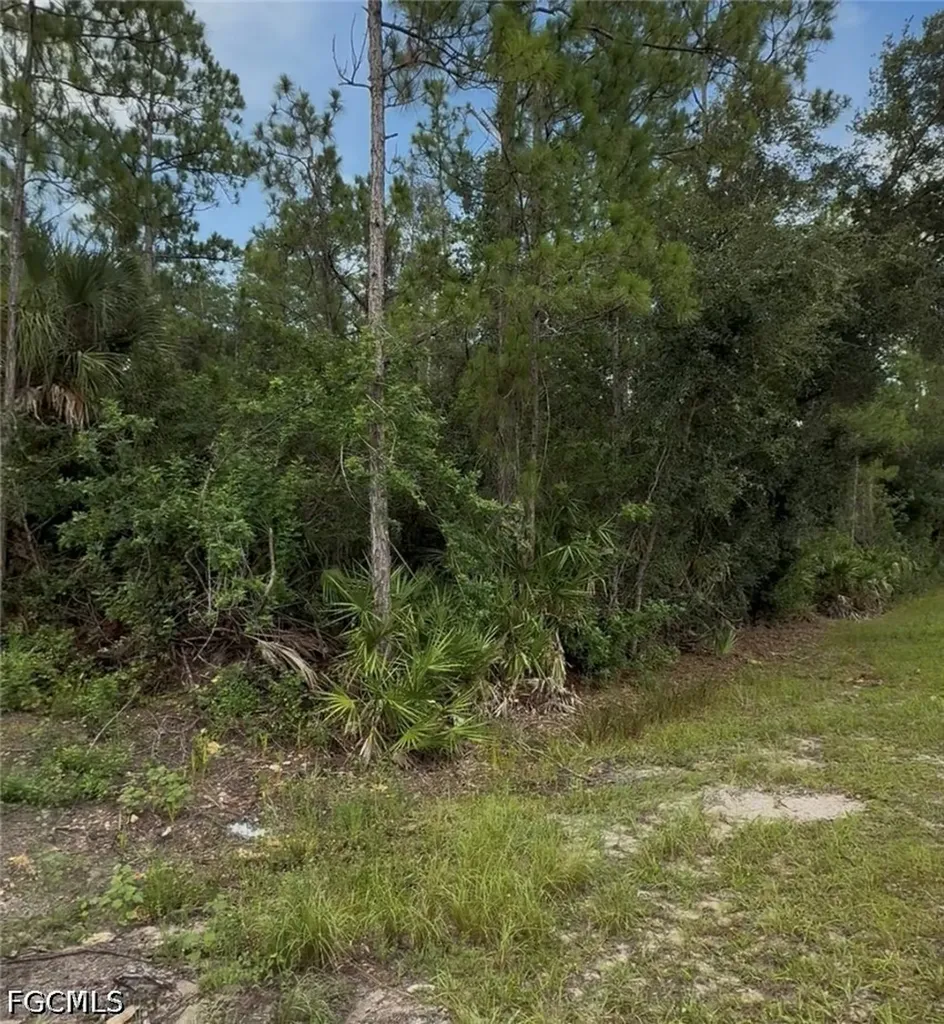 2114 Wellington Avenue Alva FL 33920