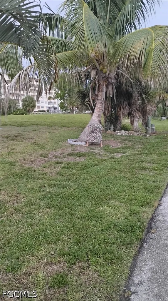 1749 Bikini Court Cape Coral FL 33904