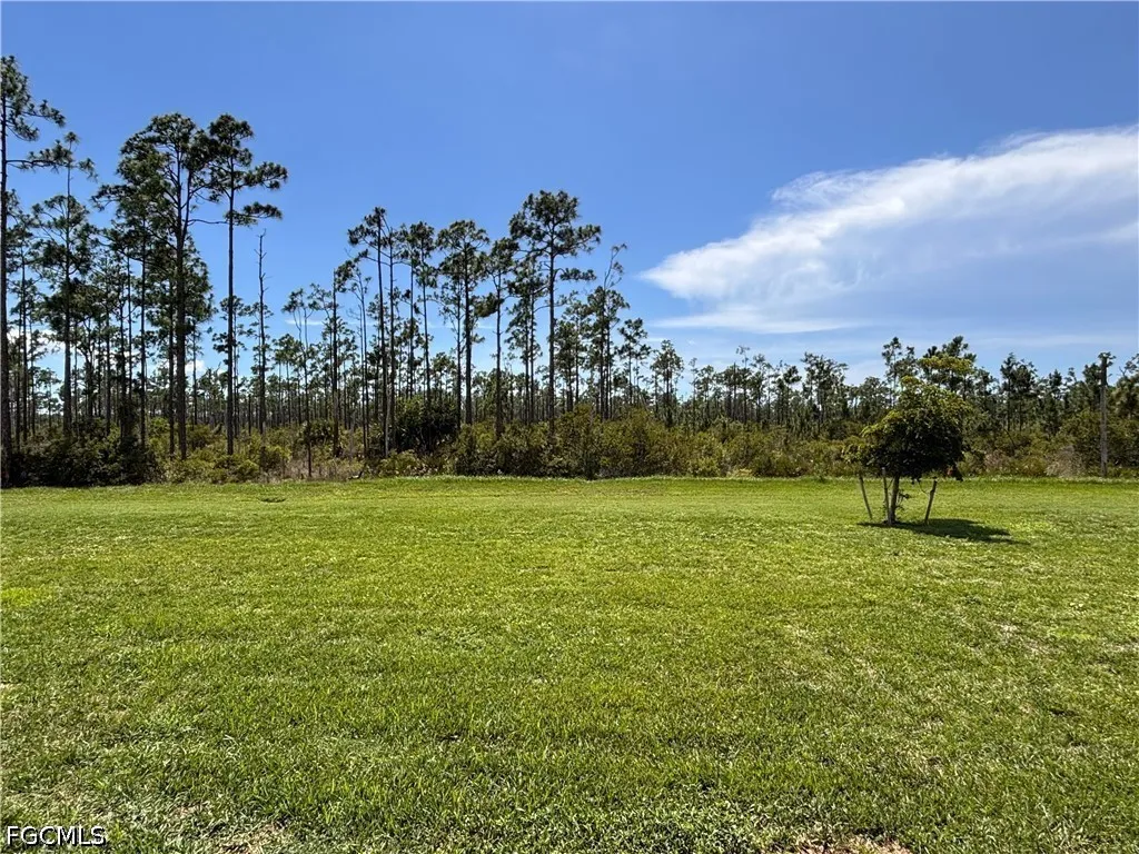 20324 Camino Torcido Loop North Fort Myers FL 33917