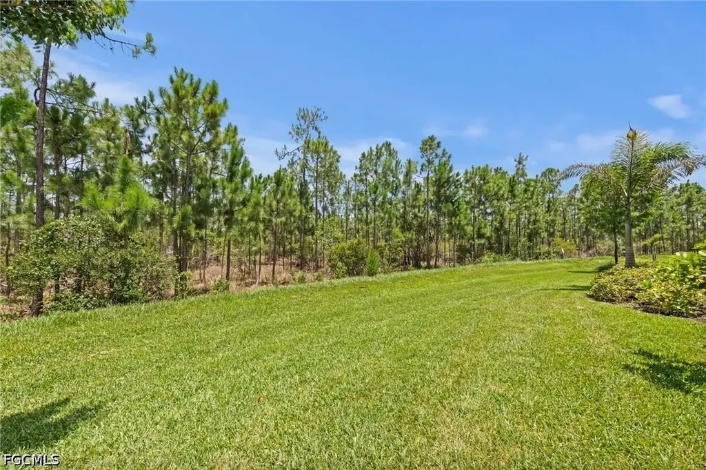 20615 Plumwood Loop North Fort Myers FL 33917